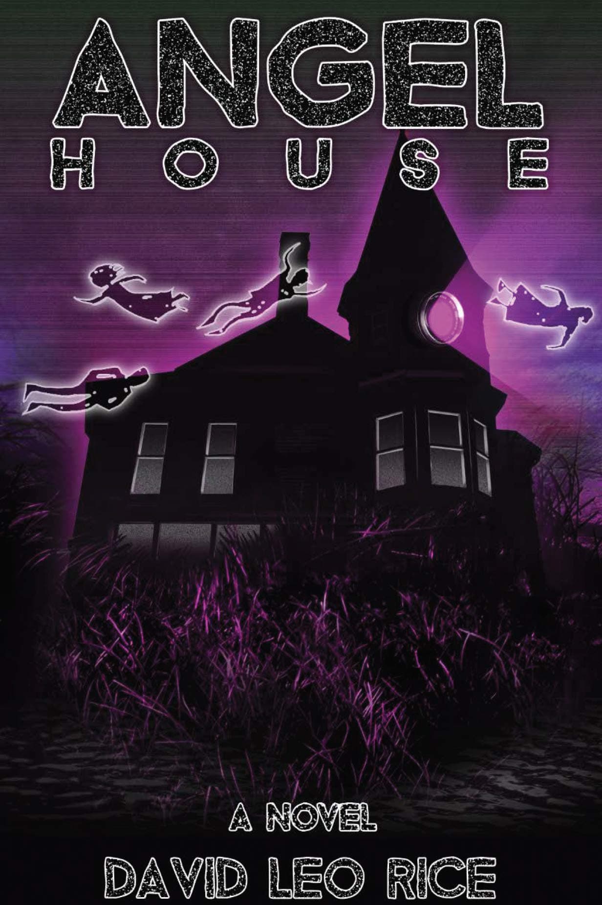 Cover of David Leo Rice's-Authored Books