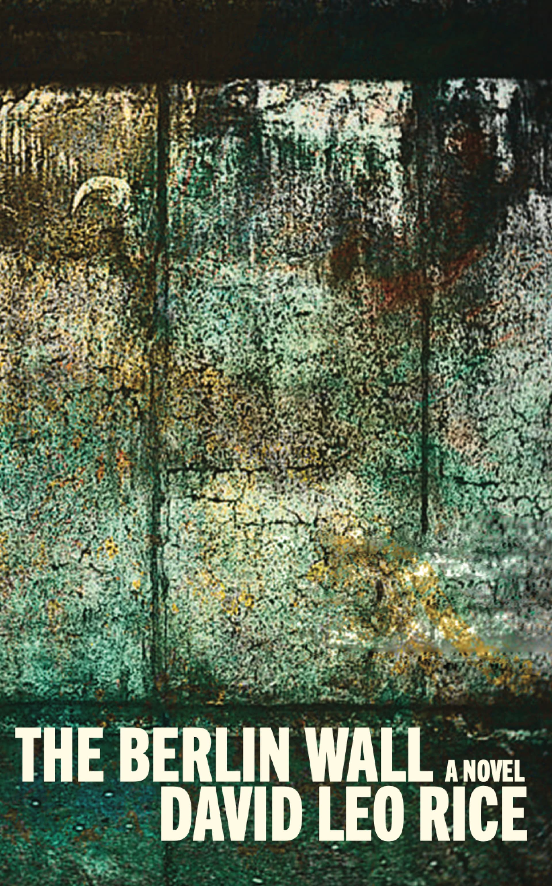 Cover of David Leo Rice's-Authored Books