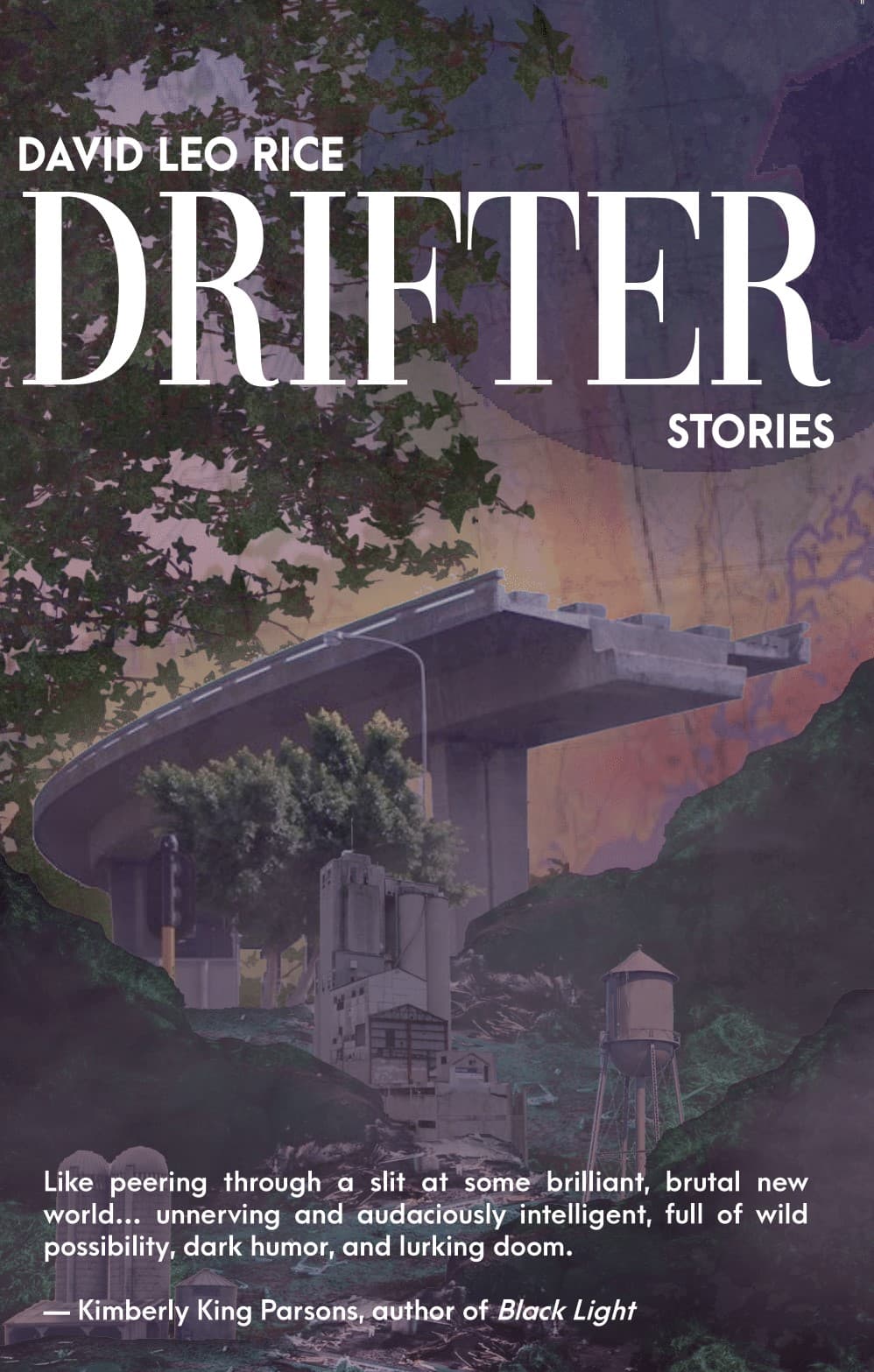 Cover of David Leo Rice's-Authored Books