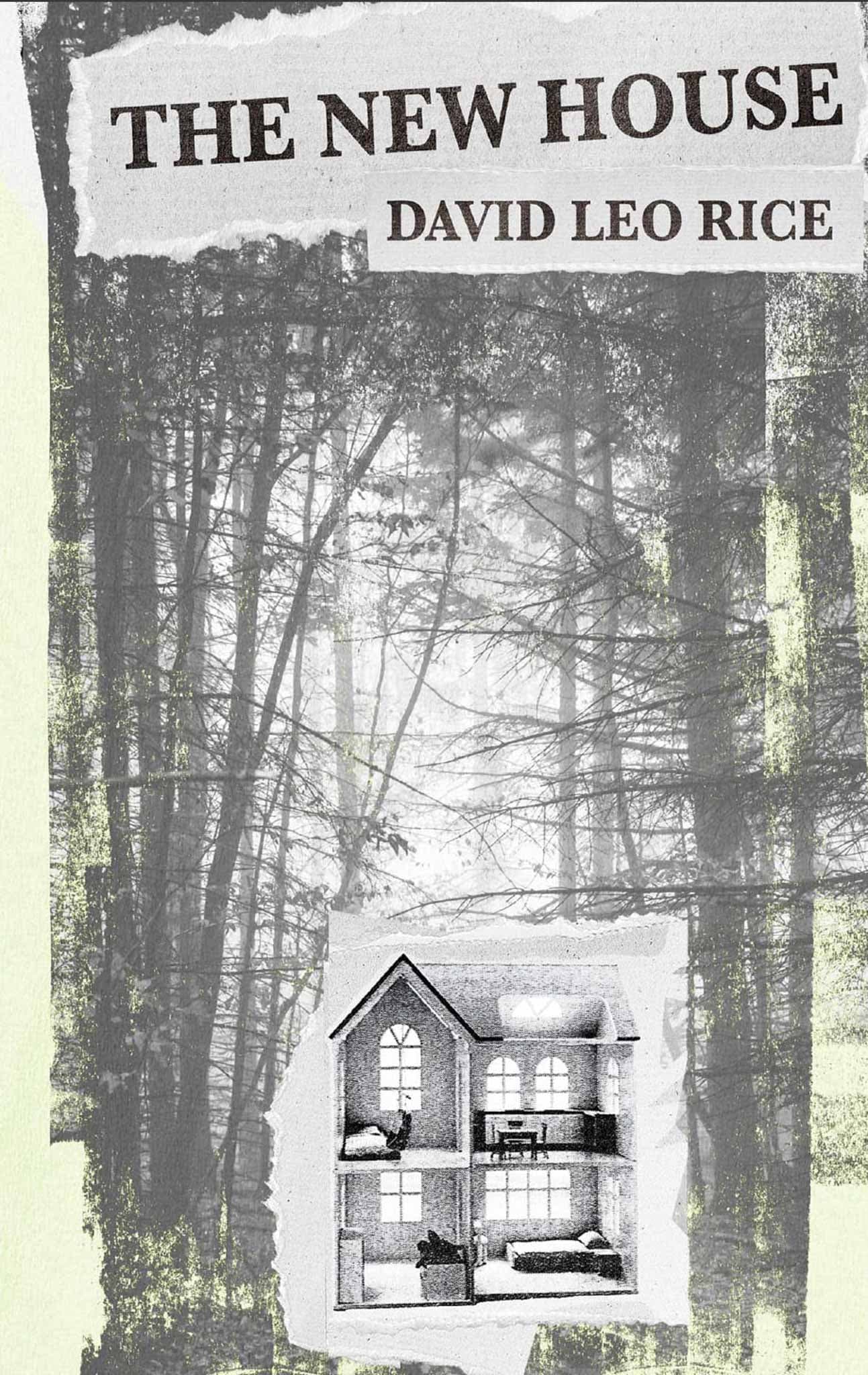 Cover of David Leo Rice's-Authored Books